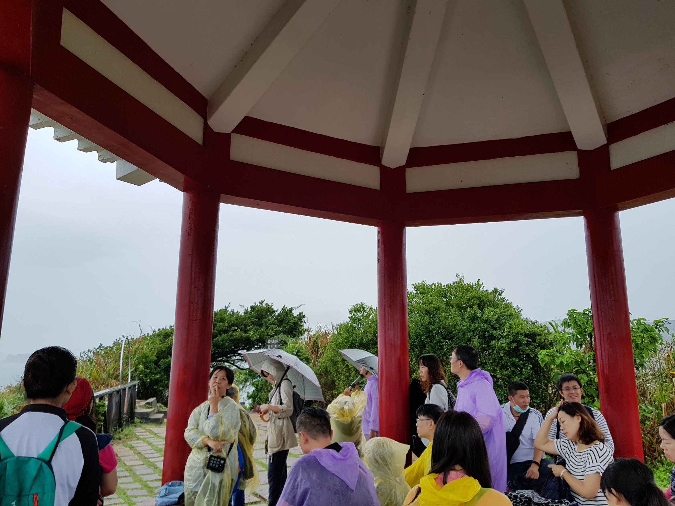 f919621797524c352d7416833de1ed5a.jpg